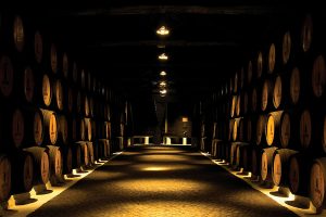 Visit the Sandeman Cellars and discover more about the Port Wine history